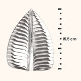 Silver Banana Leaf (Kela Paan)