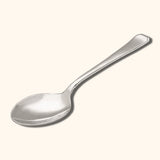 Lustrous Silver Spoon