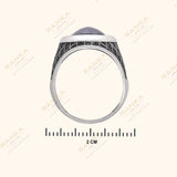 Sleek Silver Men's Ring