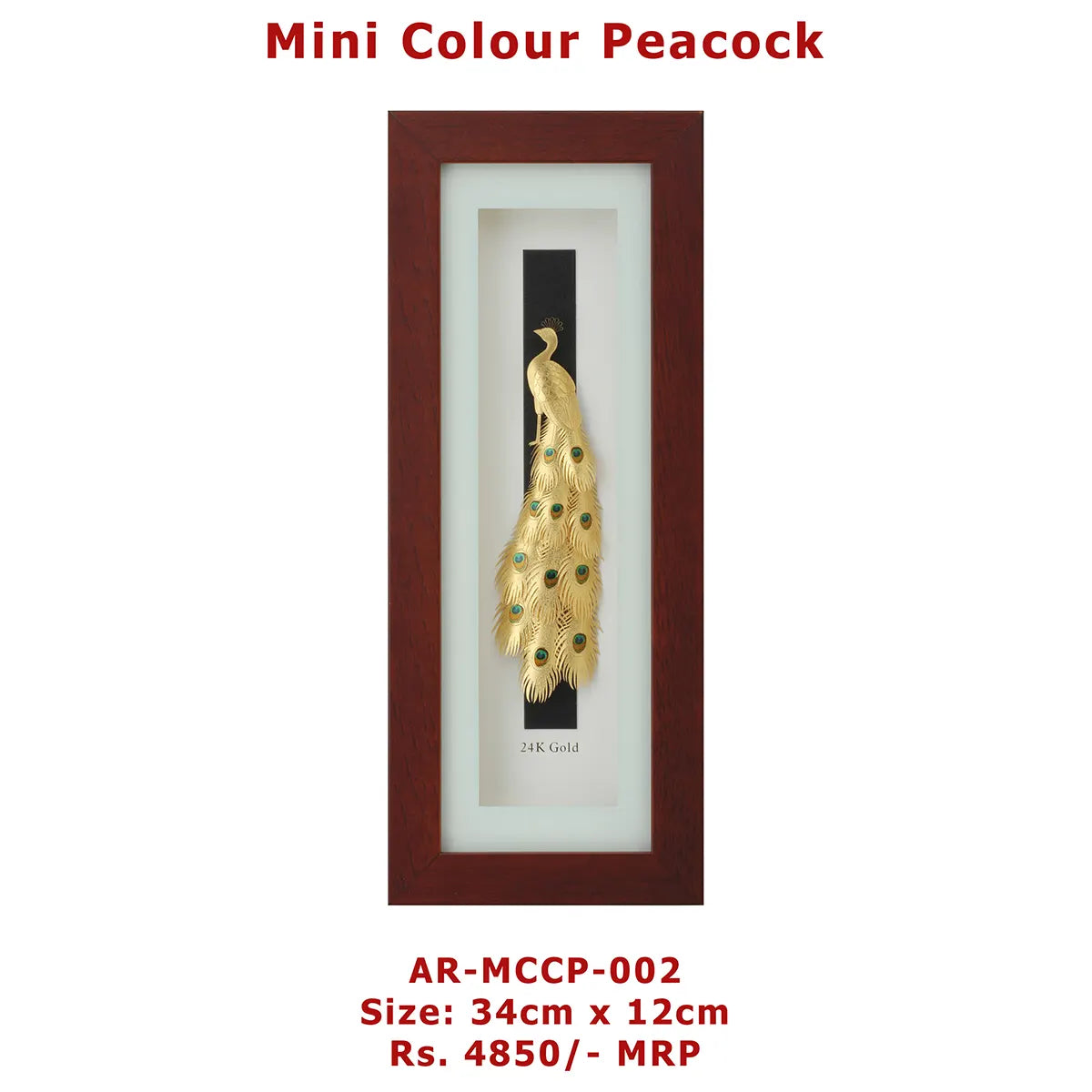 Mini Colour Peacock 34cm x 12cm Big size Frame