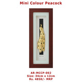 Mini Colour Peacock 34cm x 12cm Big size Frame