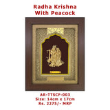 Radha Krishna with peacok Frame L size